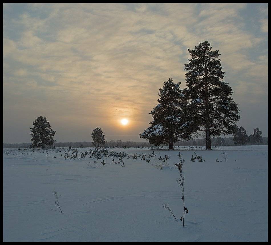 , Поташев Александр