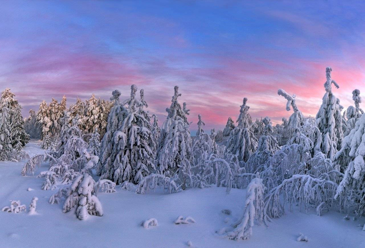 , Клековкин Алексей