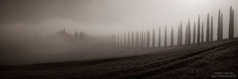 B&W Tuscany фото превью