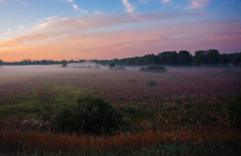 На рассвете фото превью