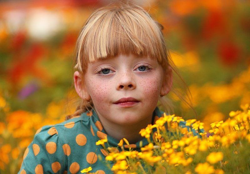 .... фото превью