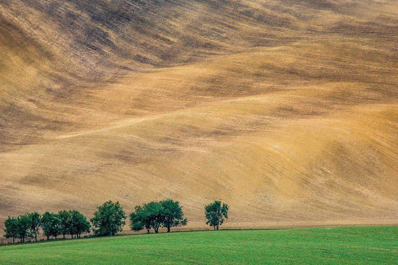 Весна, Деревья, Моравия, Пейзаж, Поле, Поля, Чехия, Южная моравия, Василий Яковлев
