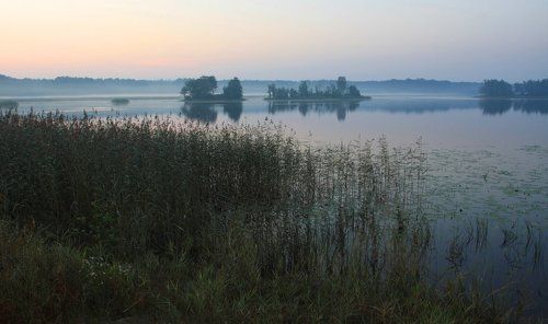 Утро, день, вечер ...