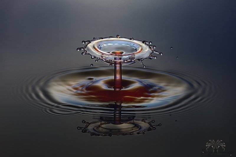 Вода, Всплеск, Жидкость, Капли, Макро, Сергей Толмачев