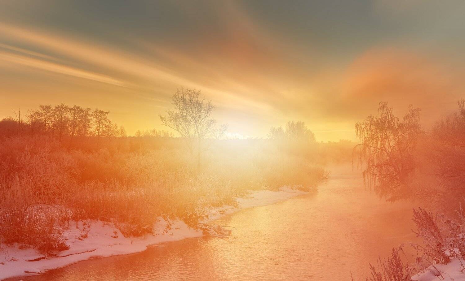 , Олег Богданов