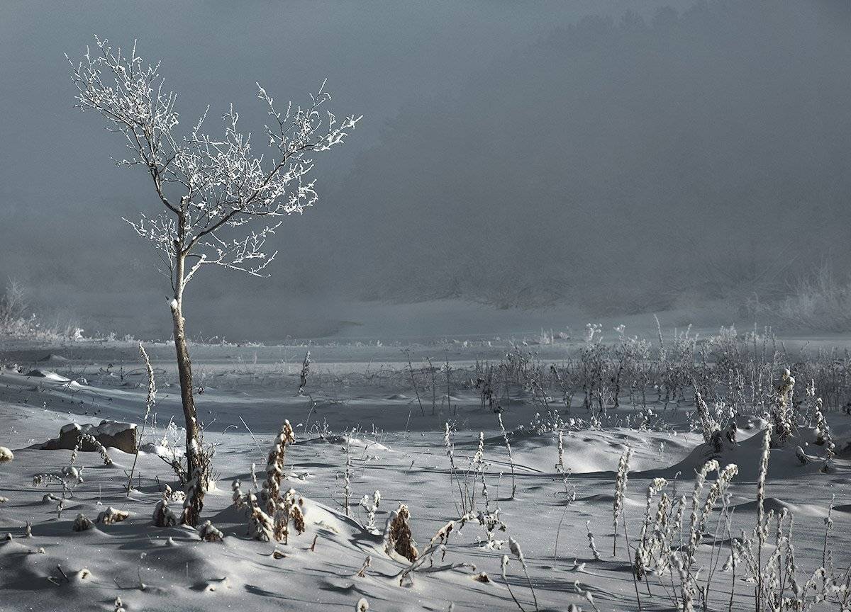 , Александр Поляков