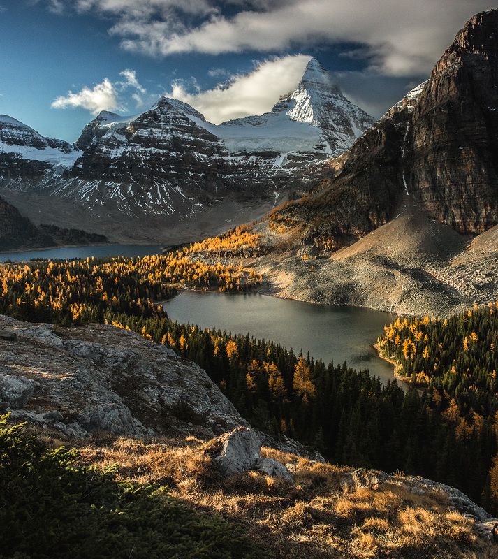 Morning of the King Assiniboine фото превью
