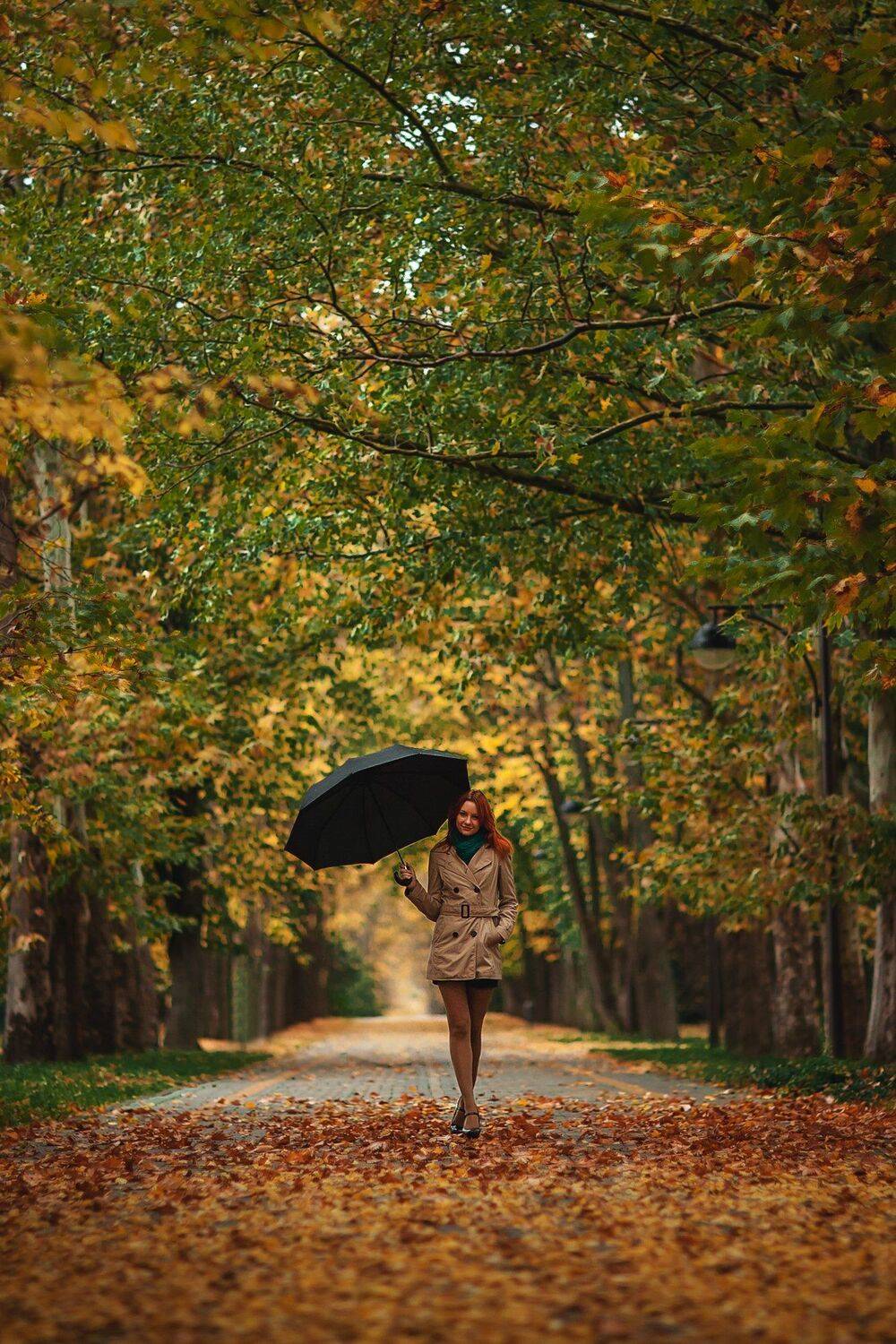 , Иван Лошицкий