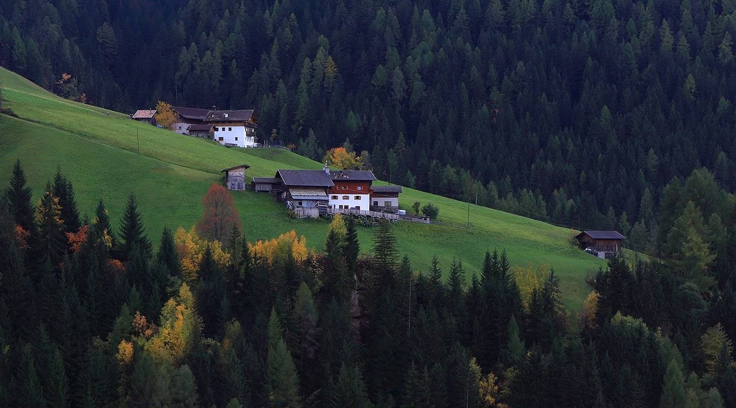 , Игорь Дубровский