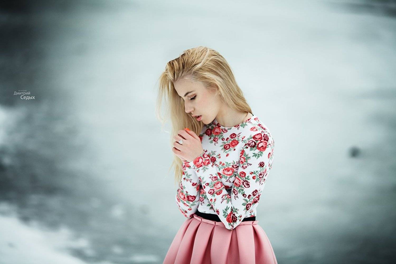 , Седых Дмитрий