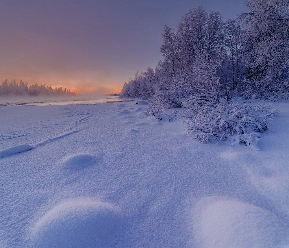 Заморозки, Заполярье, Кольский, Север, Умба, Роман Горячий