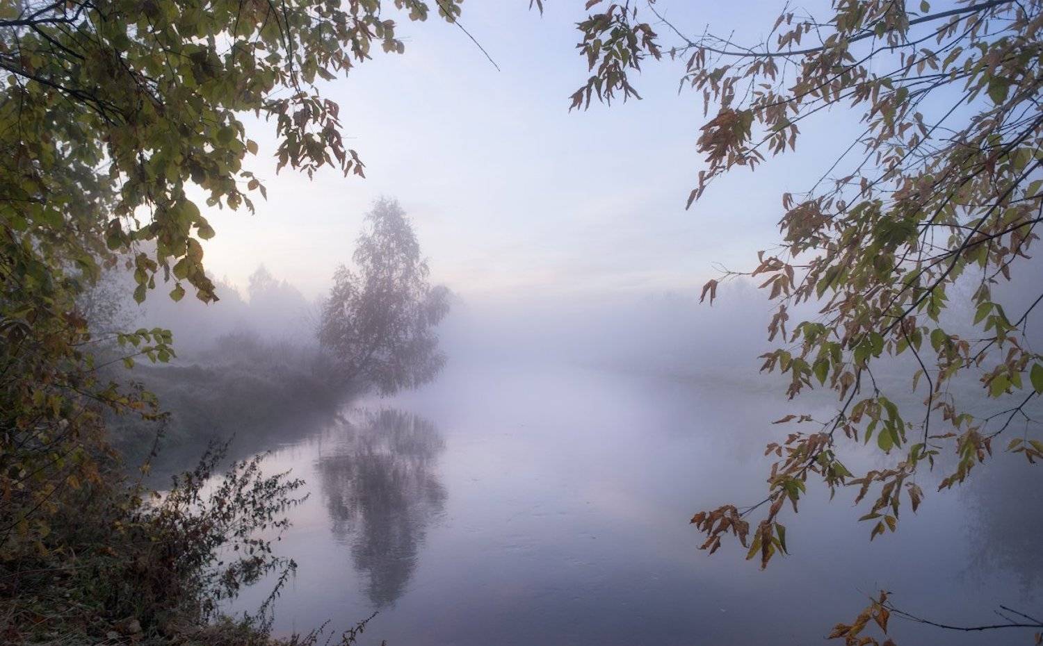 Дерево, Клязьма, Красота, Осень, Река, Россия, Туман, Пеккер Сергей