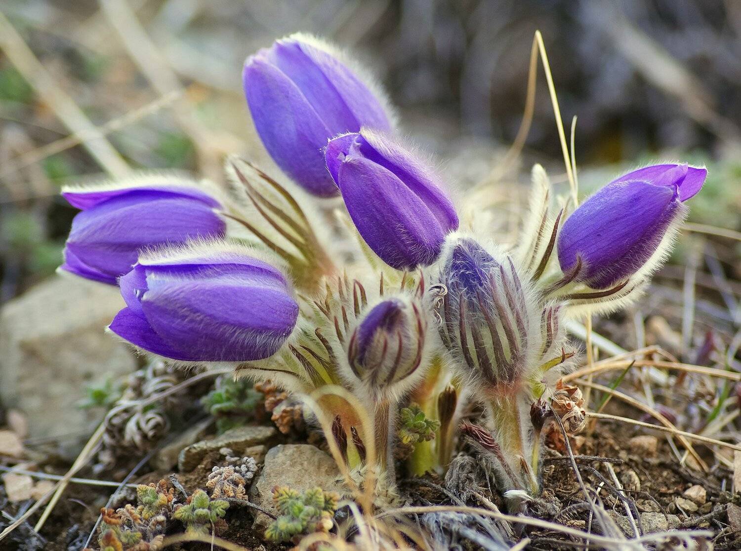 , Андрей Загребельный