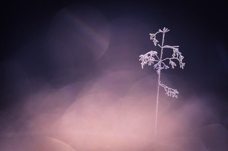 Еще чуть-чуть, еще немножко... фото превью