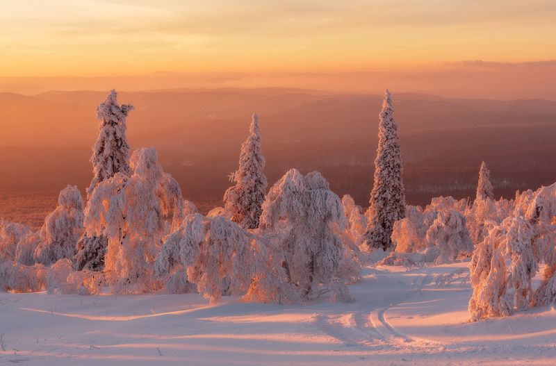 Праздничное фото превью