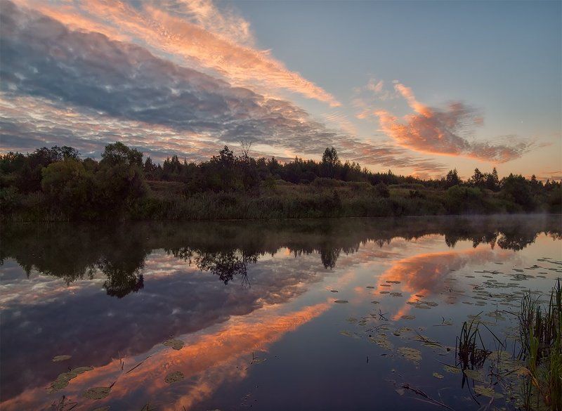 Прыжок тигра фото превью