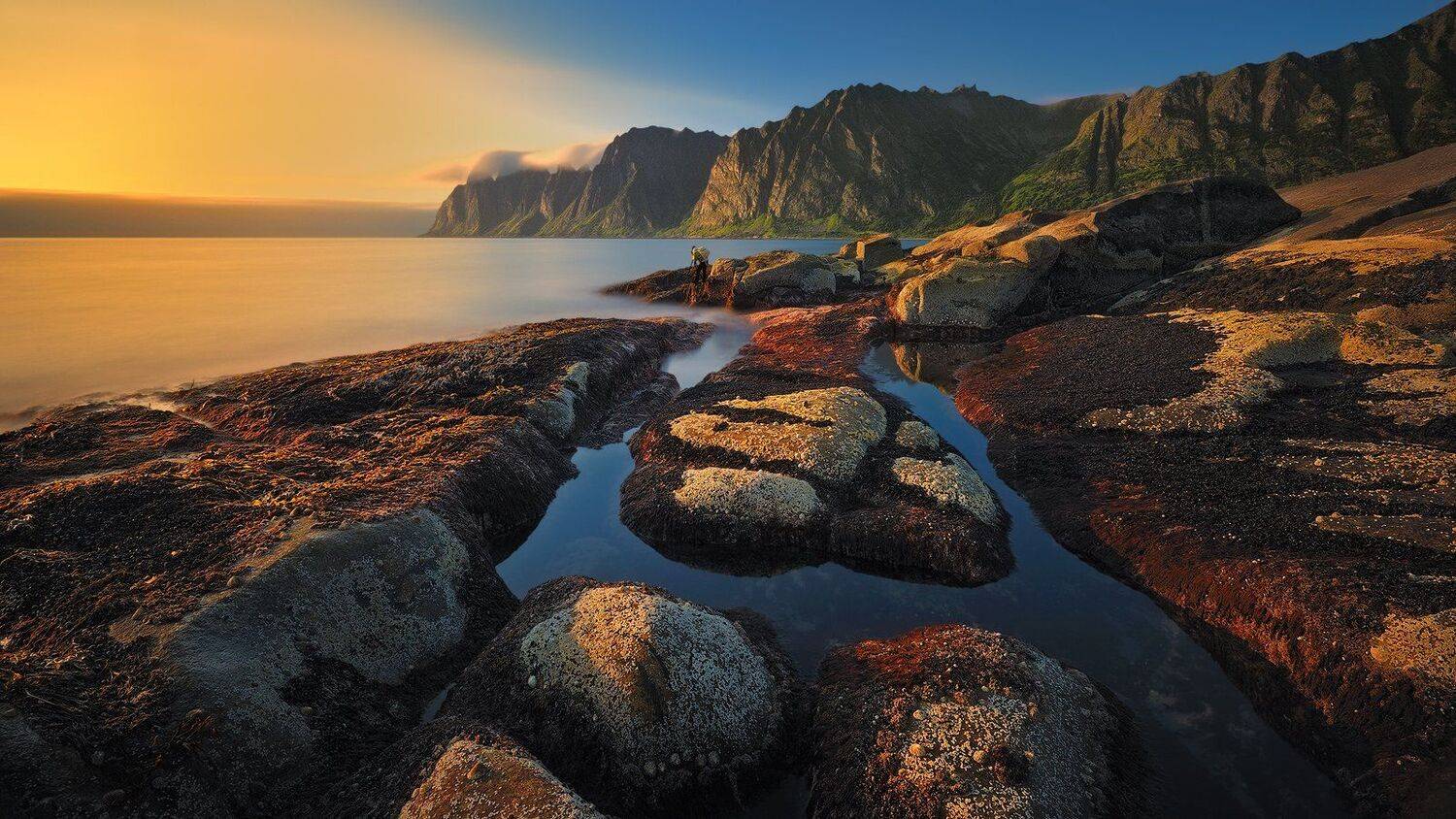 Okshornan.... Автор: Pawel Kucharski , Pawel Kucharski