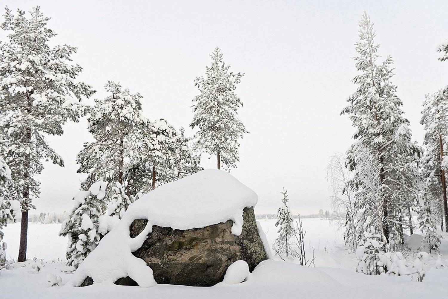 берег, зима, север, Карелия, снег, озеро, Ирина Белотурова