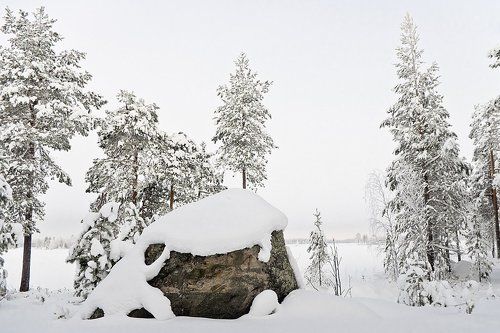 Заснеженный берег