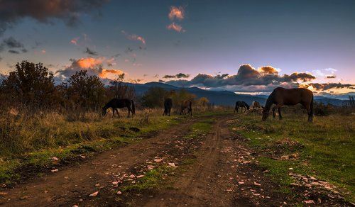 Мезмайское ночное