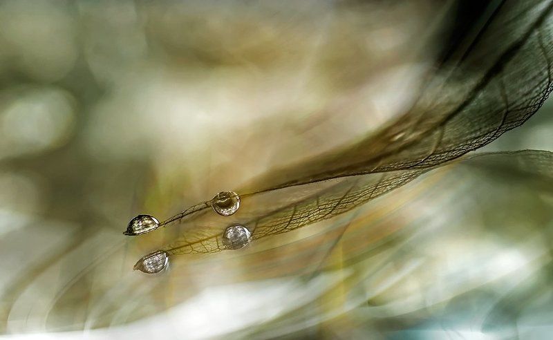 . фото превью