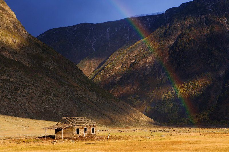 ОДИНОЧЕСТВО И РАДУГА. фото превью