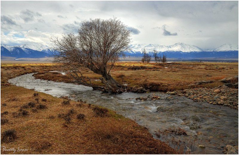 Горный алтай, Курайская степь Весна в Курайской долине фото превью