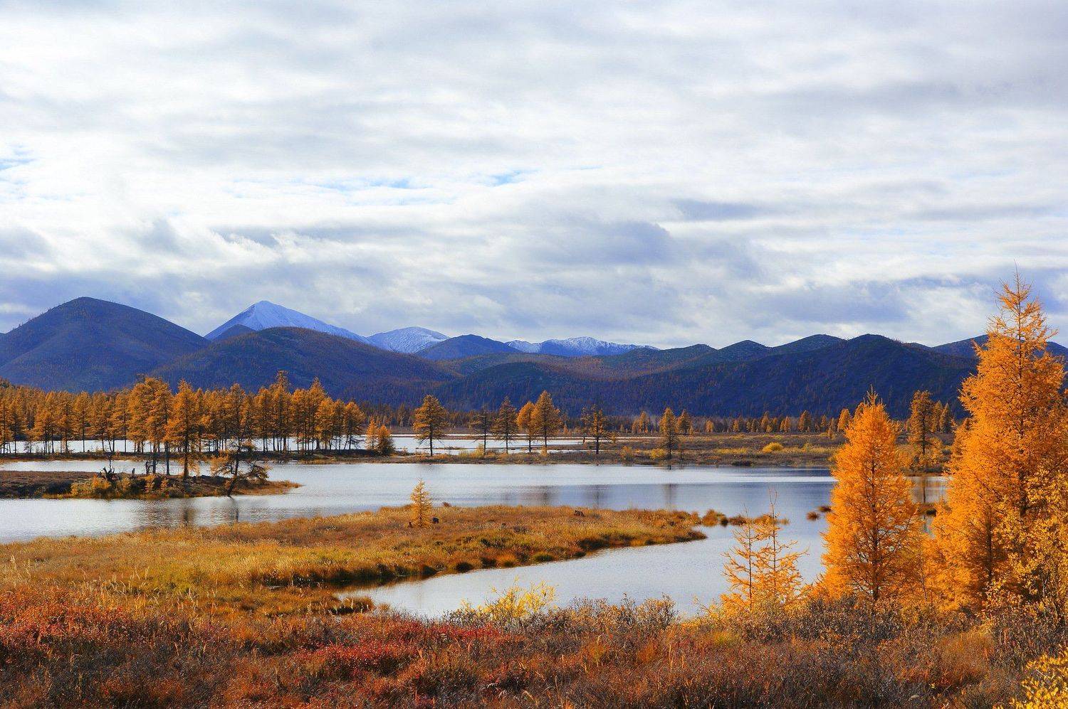 , Андрей Загребельный