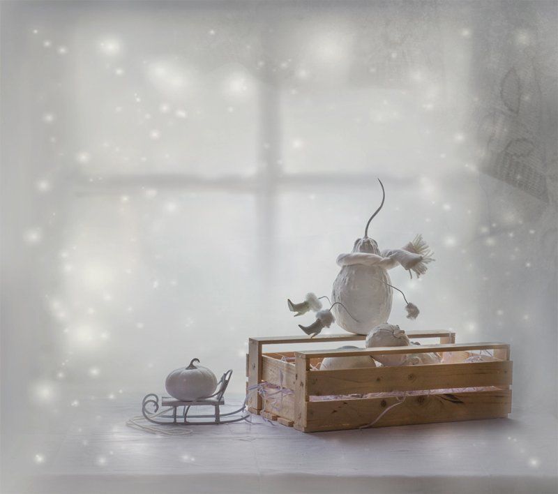 зима, настроение, натюрморт, тыквы, юмор ... Нам бы эту зиму пережить ... фото превью