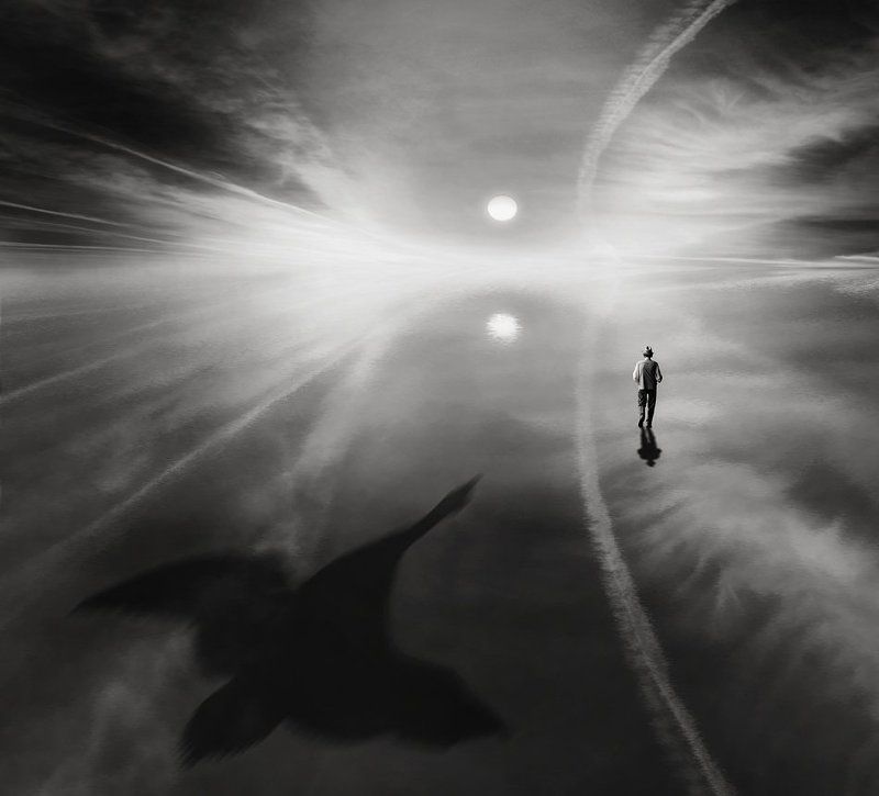 Bird of Freedom фото превью