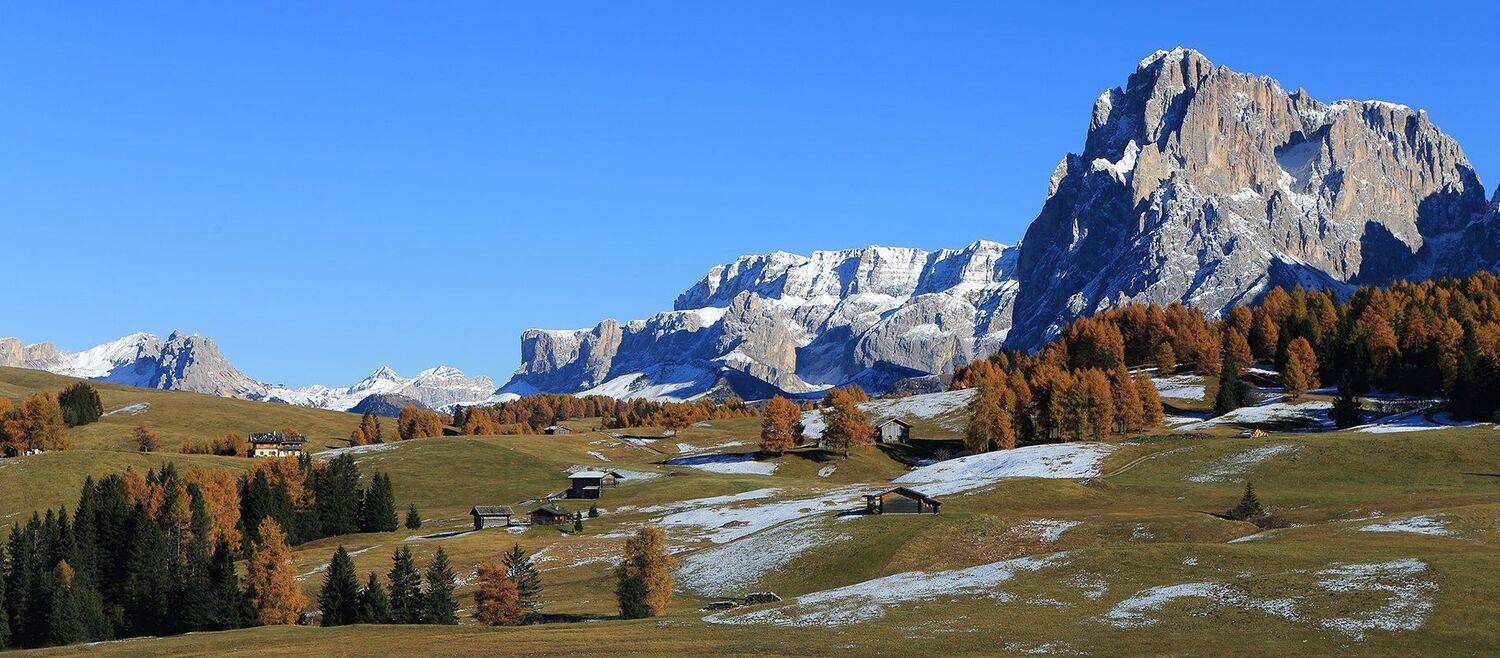 , Игорь Дубровский