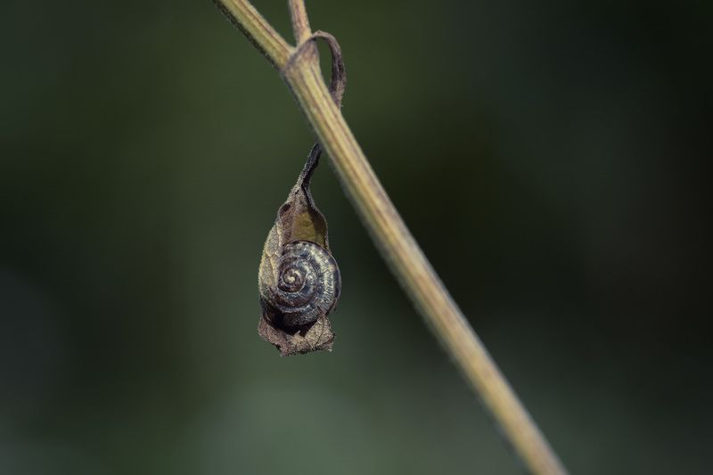 Осень, она не спросит, осень, она придет... фото превью