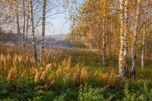Сентябрь, Утро.