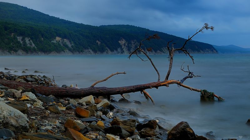 природа пейзаж лето море вода горы скалы дерево Вокруг да около... фото превью