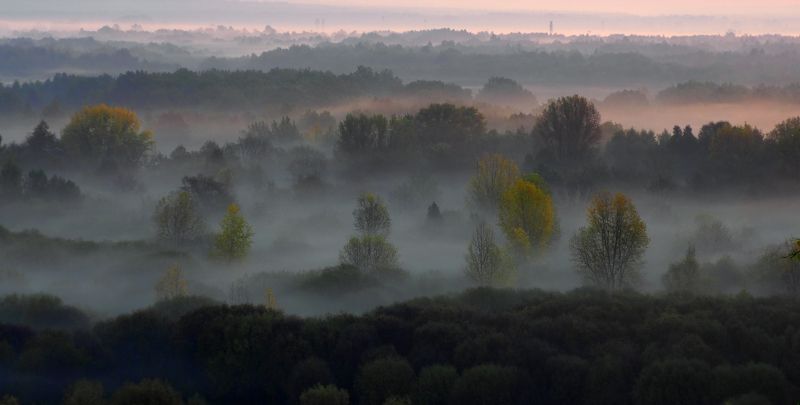 Время туманов фото превью