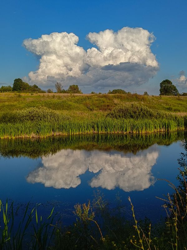 фото превью