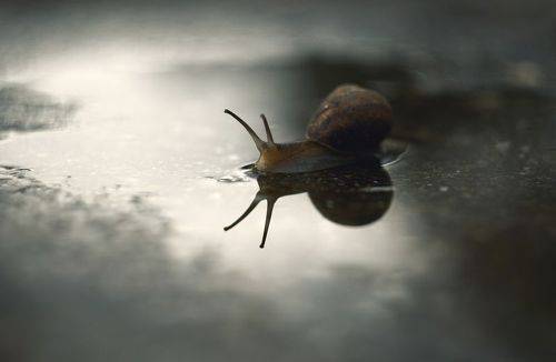 Осенние хроники.