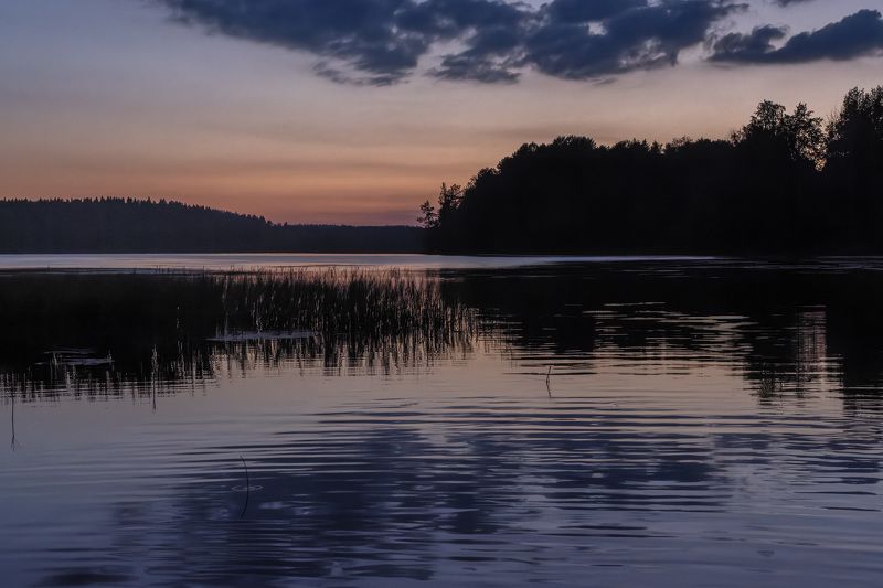 закат вечер озеро остров лес отражение осока Догорает лето.... фото превью