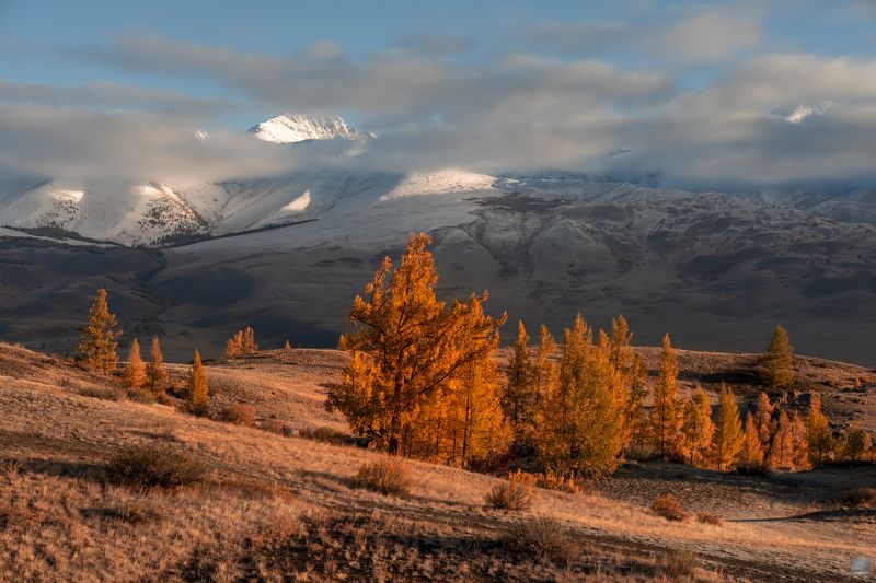 Краски фото превью