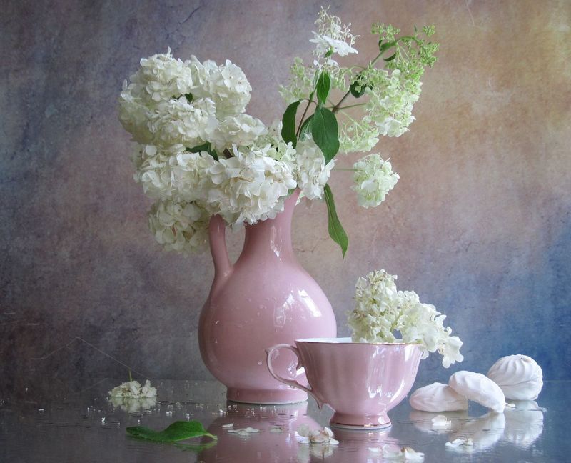 цветы, букет, гортензия, кувшин, чашка Белоснежка фото превью