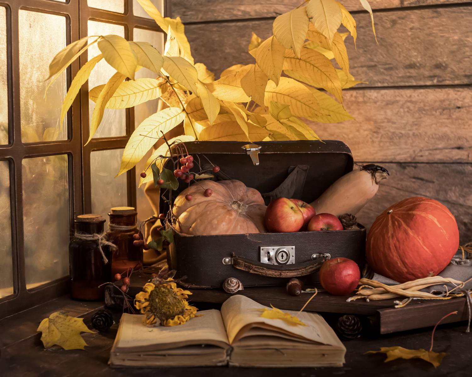 , Анастасия Тимарг