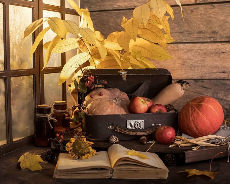 осенний  чемодан фото превью