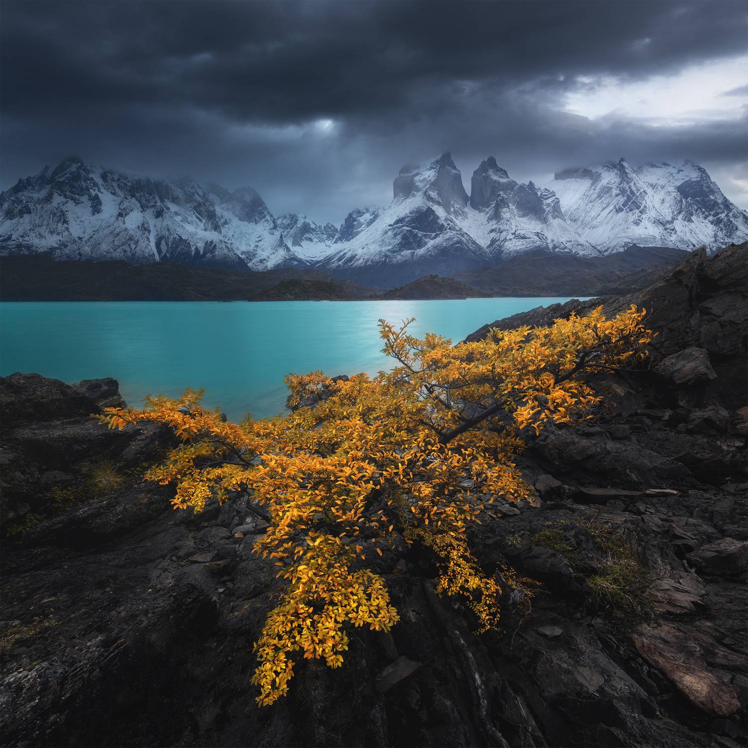 , Политова Анна