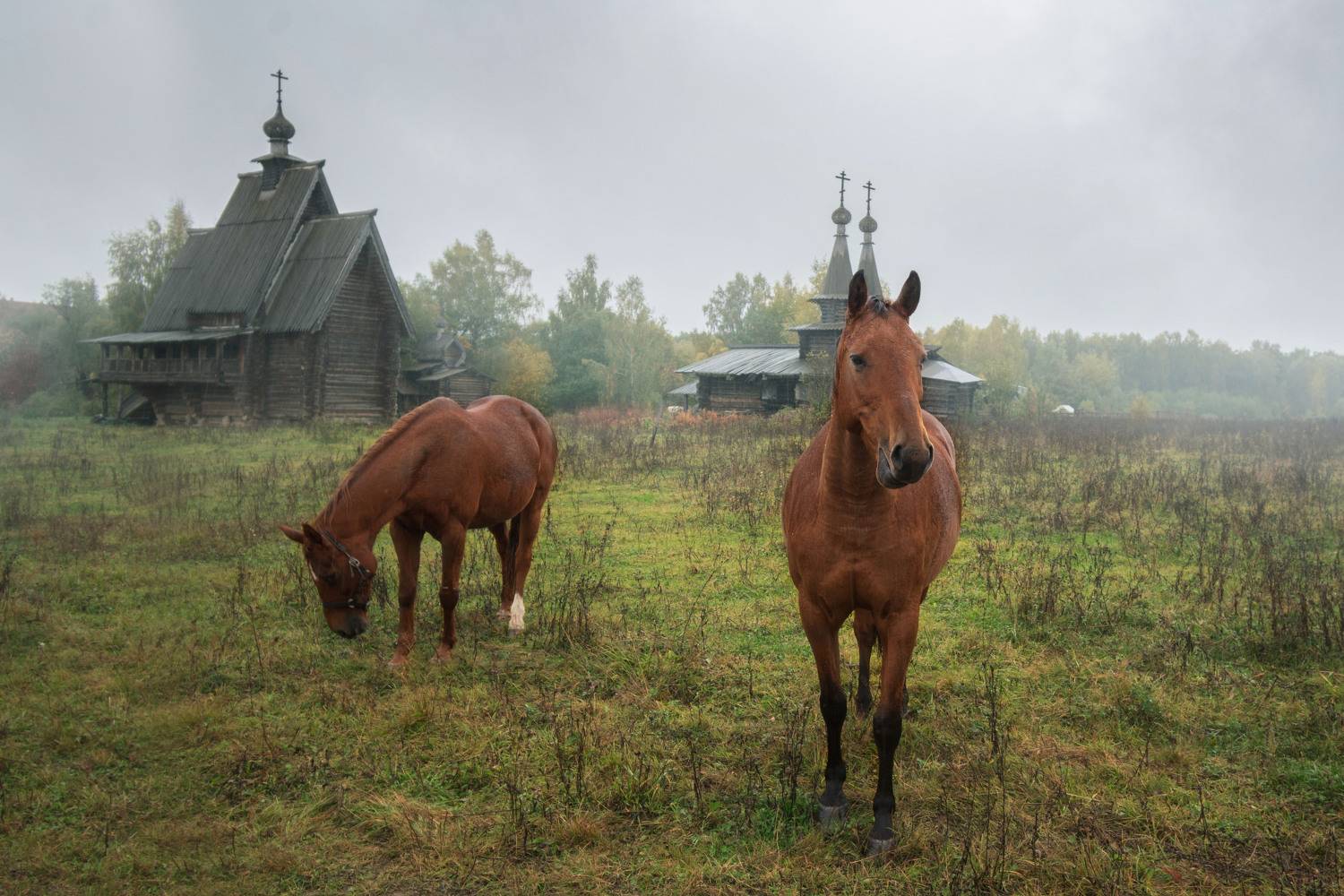, Борис Юрьев