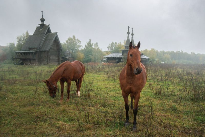 Урочище Введенское-Борисовка фото превью
