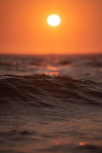 Финский залив и Ладожское озеро