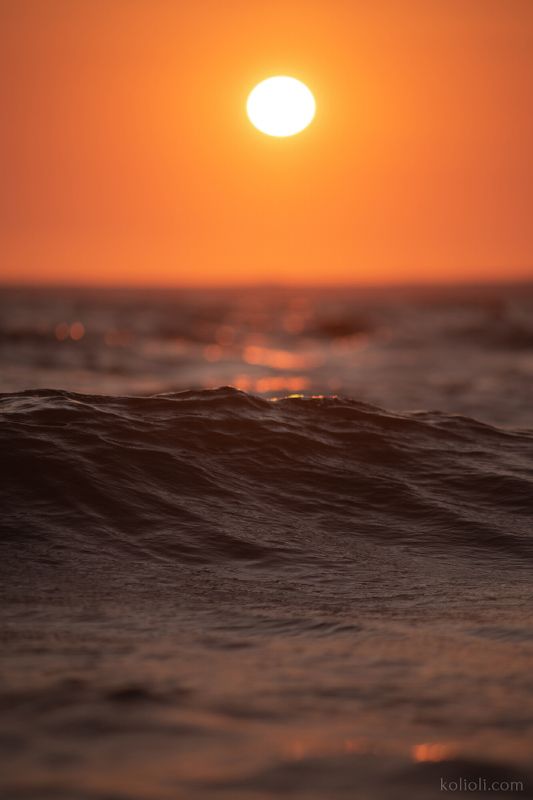 финский залив, ладожское озеро, золотой час, голубой час, закат, сумерки Финский залив и Ладожское озеро фото превью