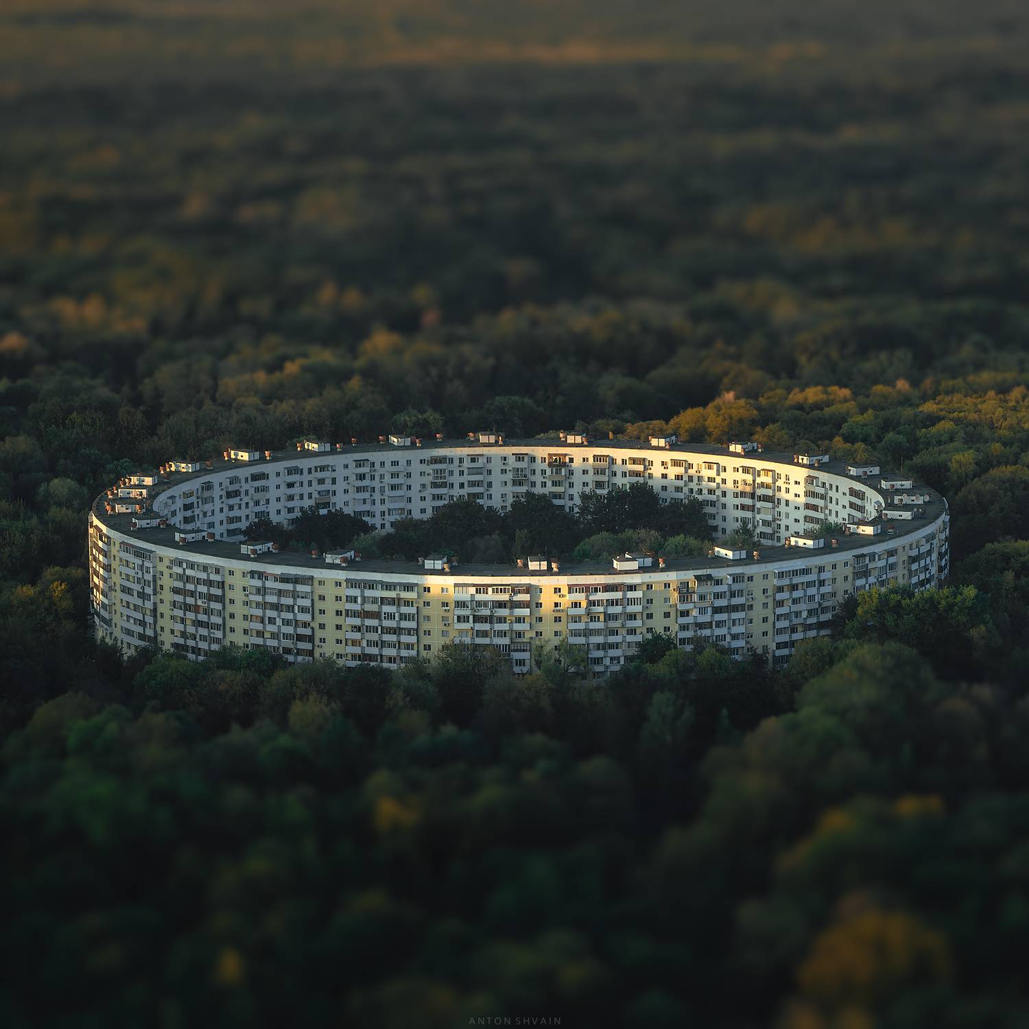 , Антон Шваин