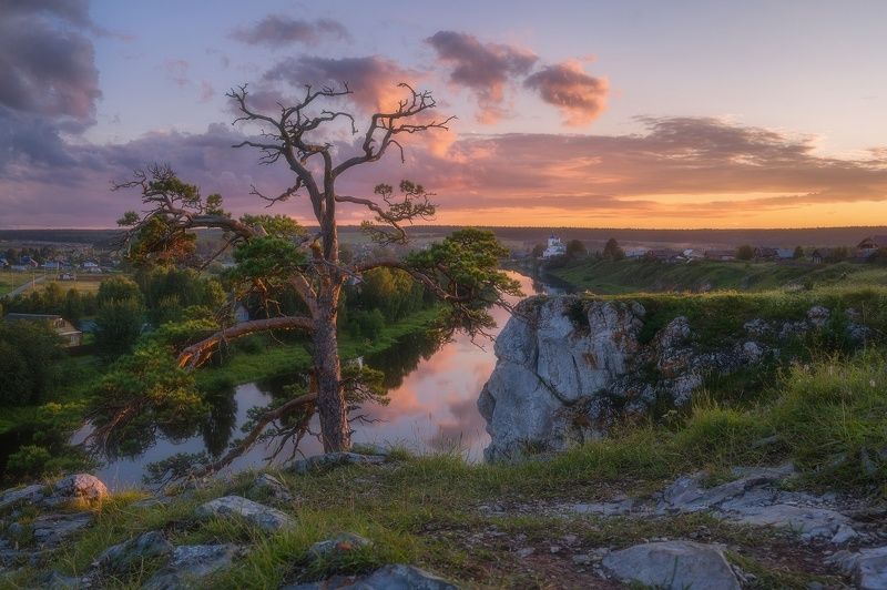 Одинокая сосна в красках заката фото превью