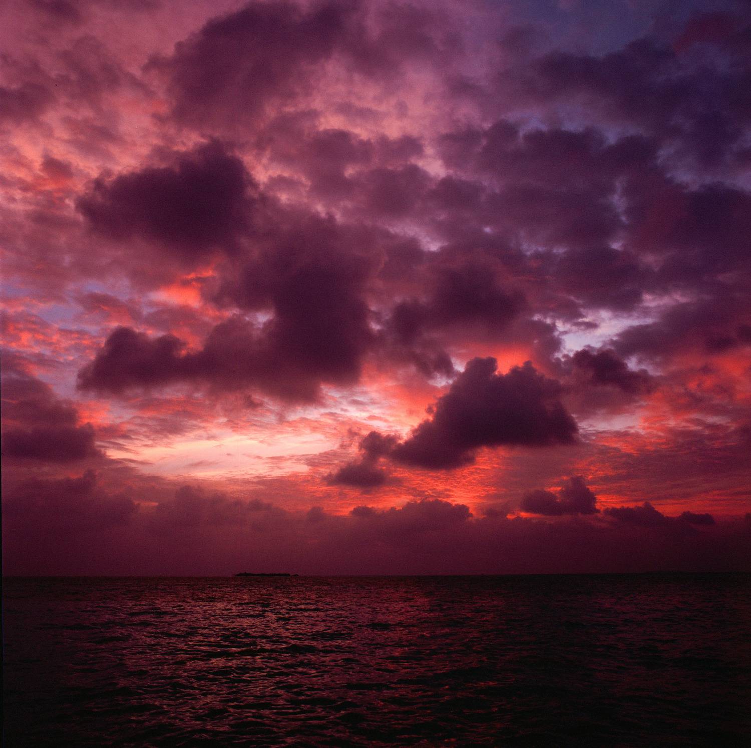 bronica sq-a, bronica, sq-a, zenzabronica, film, плёнка, medium format, m-format, middle, 120 film, 6x6, 120mm, средний формат, Fujifilm, Fujichrome, Velvia, Velvia 50, Fujichrome Velvia 50, Fujifilm Velvia 50, Fuji Velvia 50, Fujifilm Fujichrome Velvia 5, Попов Алексей